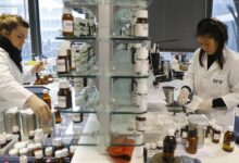 Mikateko tshetshe unilever africa finance during coronavirus pandemic