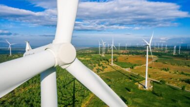 Nestle invests to cut carbon emissions