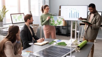 Sustainable long term growth strategies for small business