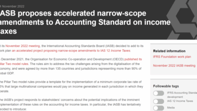Iasb ifrs amendments relating to policy disclosures estimates