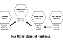 Anthony boateng integrated thinking resilience during coronavirus panedmic