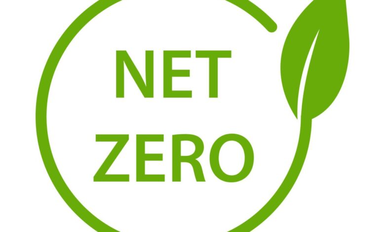 Carbon net zero how management accountants can lead