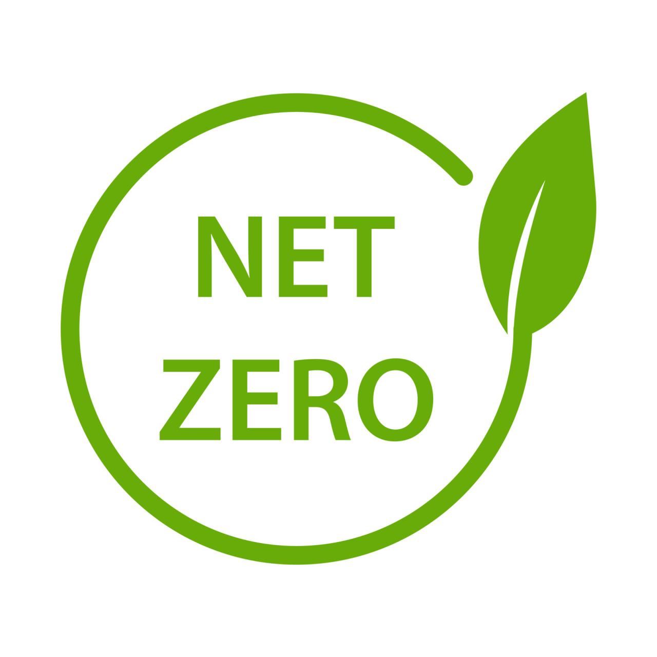 Carbon net zero how management accountants can lead