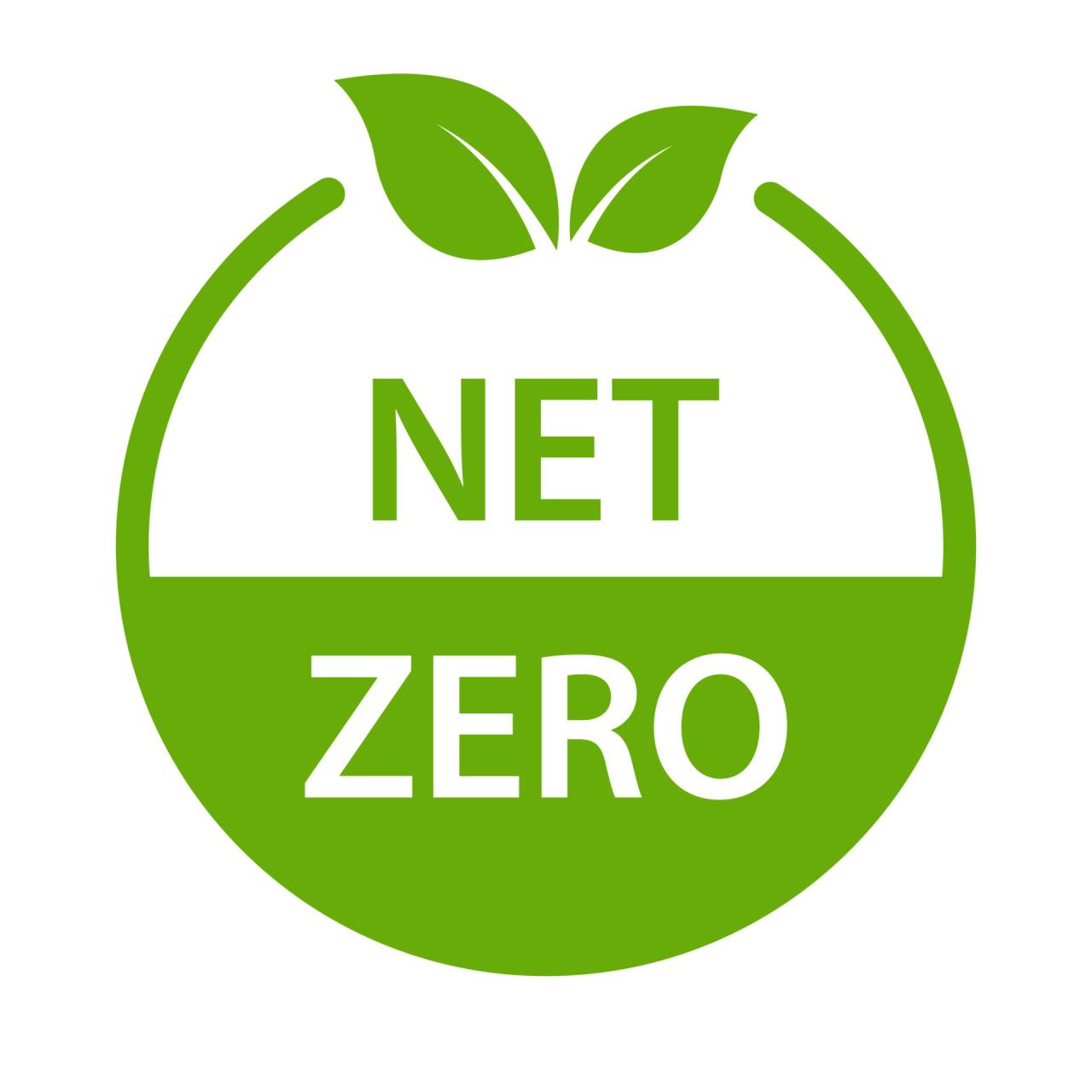 Carbon net zero how management accountants can lead