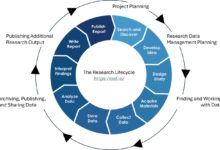 Turning values into value